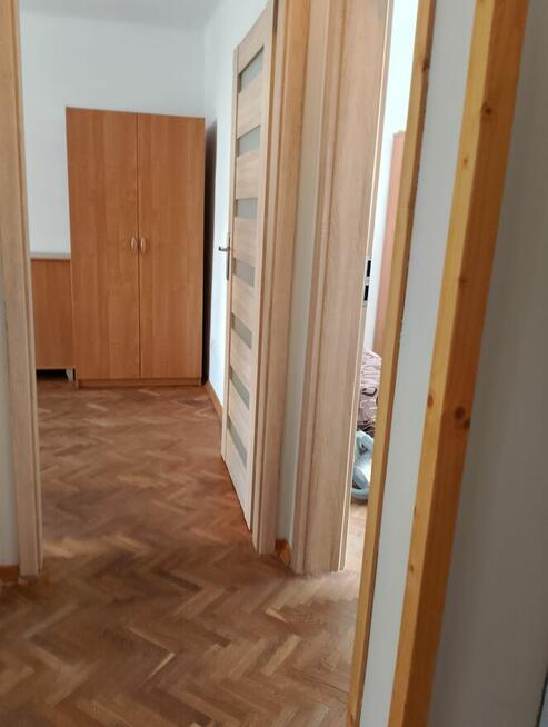 Mieszkanie dwupokojowe, dzielnica akademicka.