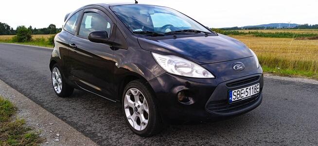 Śliczny ford ka