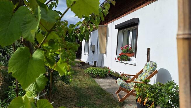 Sprzedam (lub zamienię na m2-3 Opole) dom Lasy Stobrawskie,