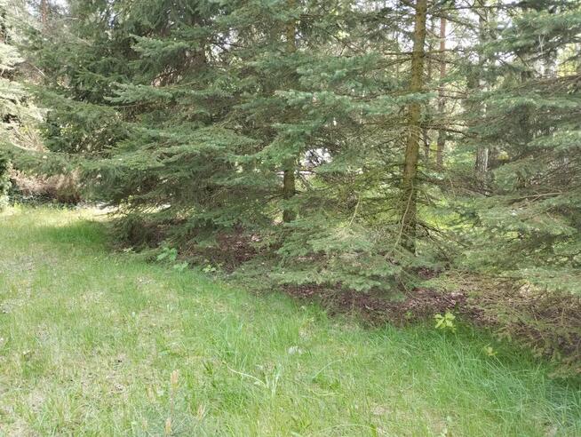 Atrakcyjna działka blisko Łodzi z WZ