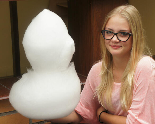 Maszyna do waty cukrowej Części Wata cukrowa Patyki Barwniki