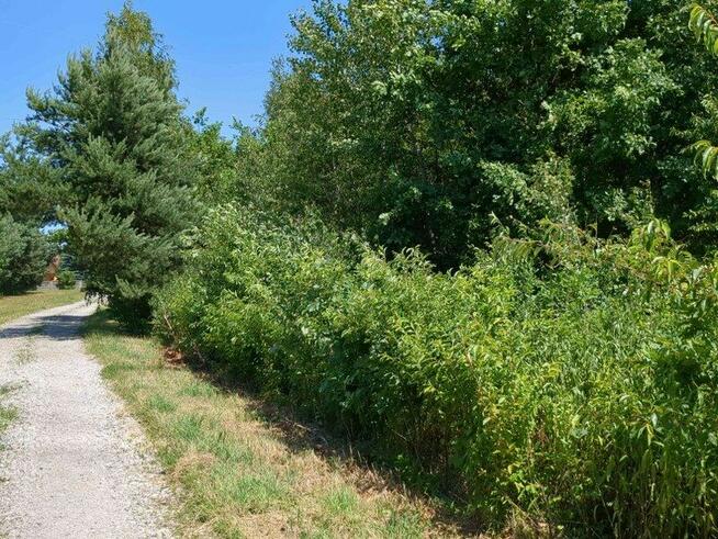 Udział w nieruchomości gruntowej od syndyka - Józefin