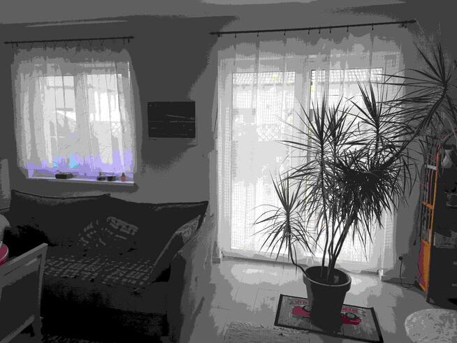 Sprzedam dom pod klucz