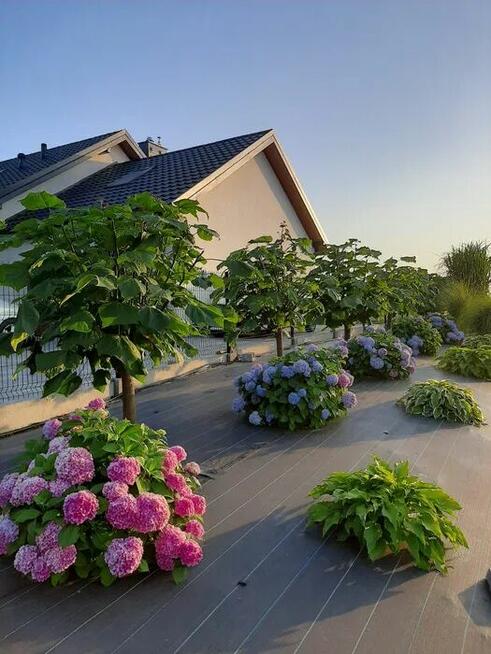 Dom jednorodzinny Brzóstowa Sielanka