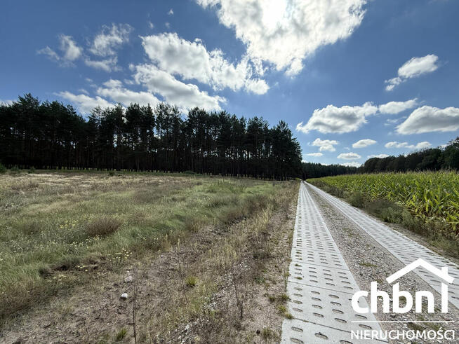 Okazja! Duża działka 3178 m² – Kaszuby, Zielona Chocina