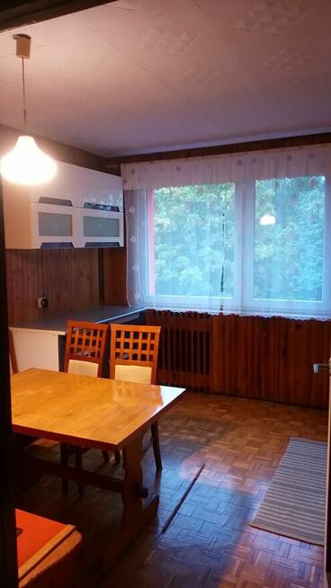 Do wynajęcia mieszkanie 50 m2 .