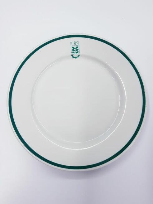 Stary porcelanowy talerz vintage Lubiana