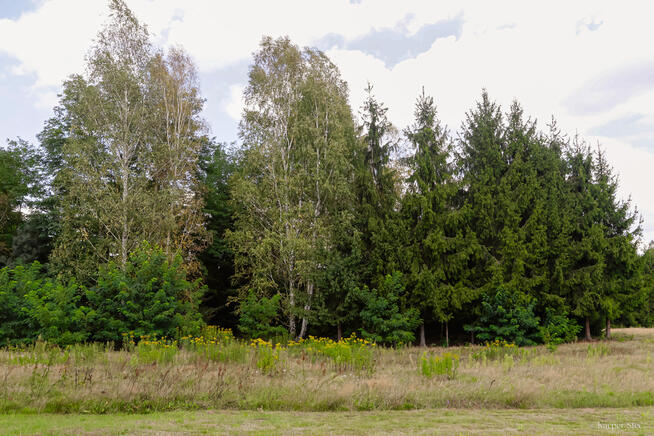 Na sprzedaż dom w Pilźnie cena: 362000!