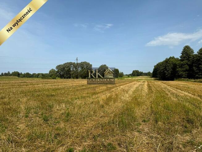 Duża działka rolna na sprzedaż 6,10 ha