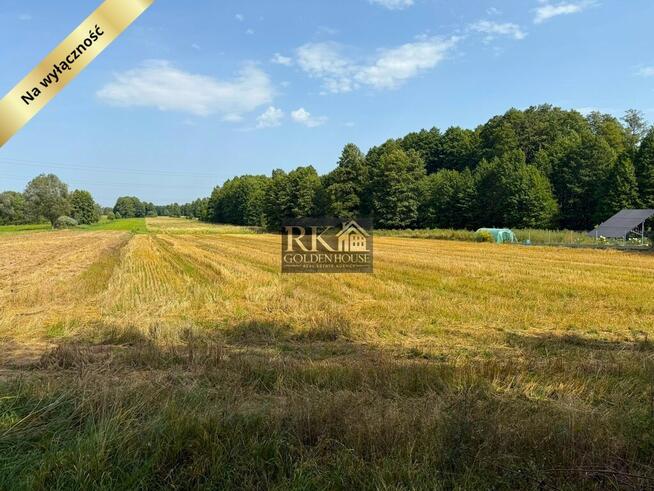 Duża działka rolna na sprzedaż 6,10 ha