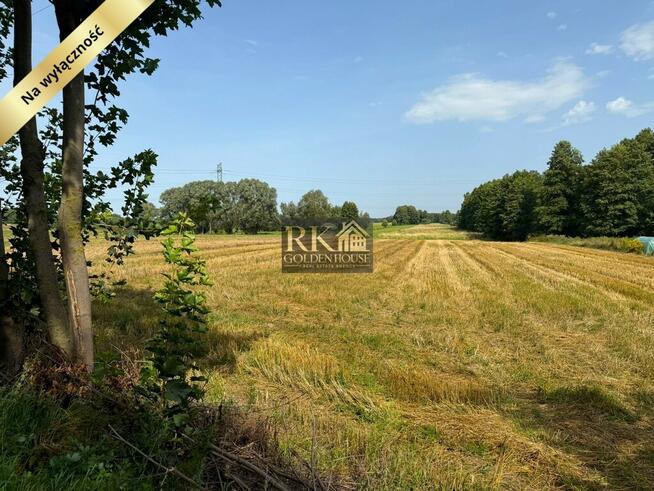 Duża działka rolna na sprzedaż 6,10 ha