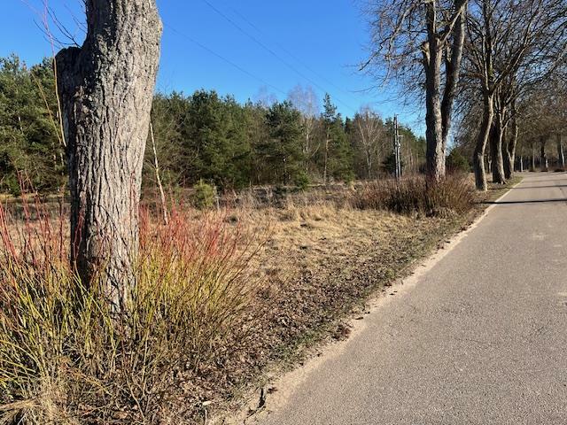 Działka inwestycyjna Rakowo gm. Borne Sulinowo