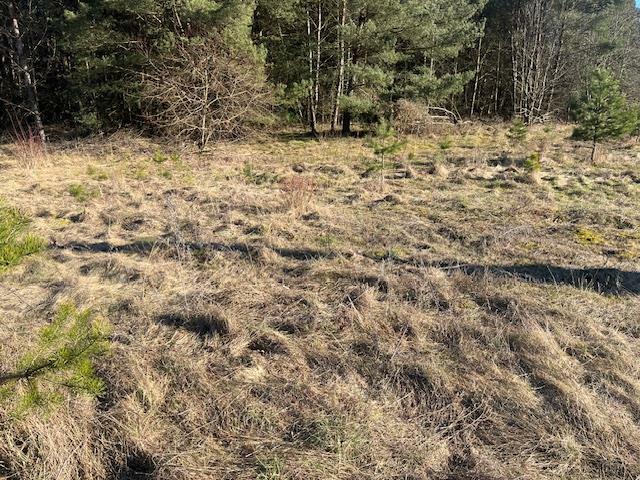 Działka inwestycyjna Rakowo gm. Borne Sulinowo