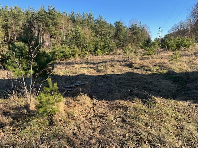 Działka inwestycyjna Rakowo gm. Borne Sulinowo