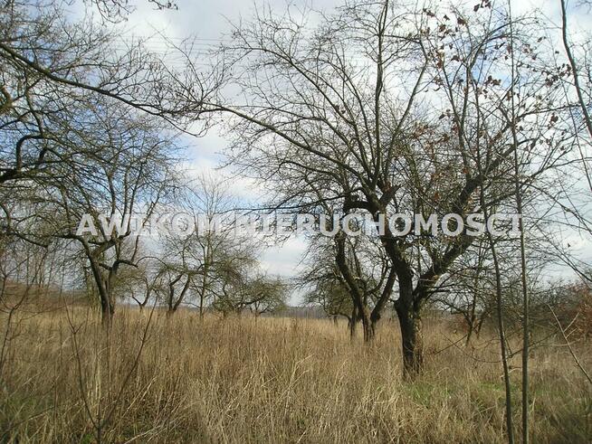 Działka rolna Skierniewice Dębowa Góra