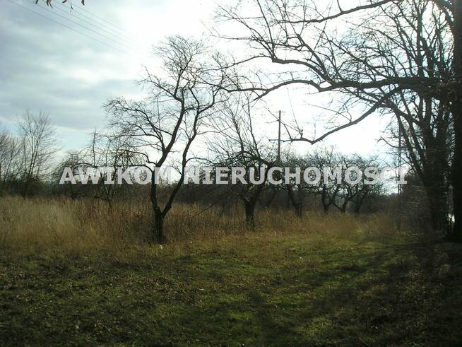 Działka rolna Skierniewice Dębowa Góra