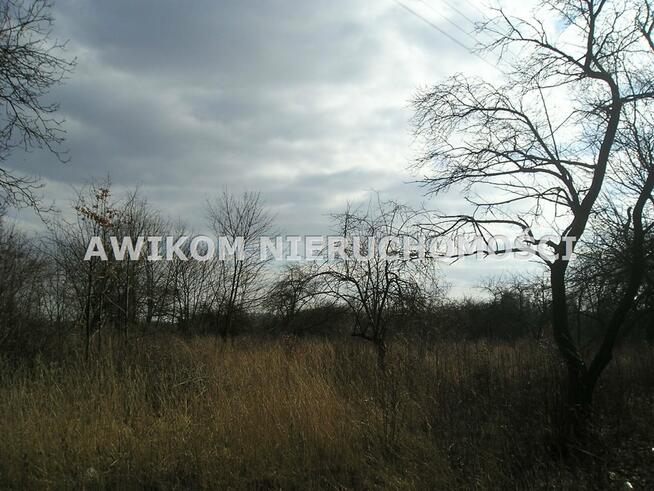 Działka rolna Skierniewice Dębowa Góra
