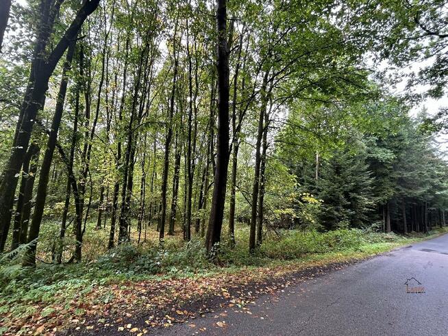 Działka leśna Wysoka gm. Wadowice