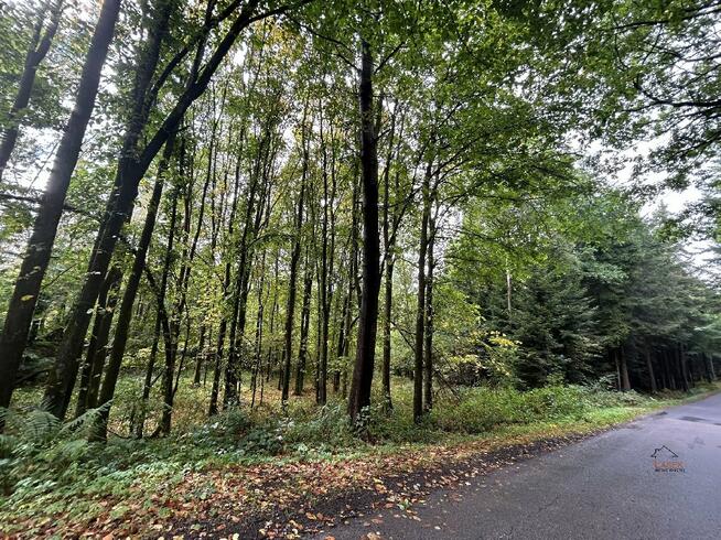 Działka leśna Wysoka gm. Wadowice