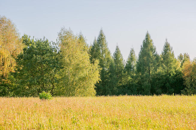 Działka widokowa w miejscowości Łysa Góra!
