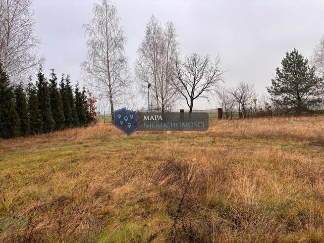 Dom z dużą działką i budynkiem pod działalność