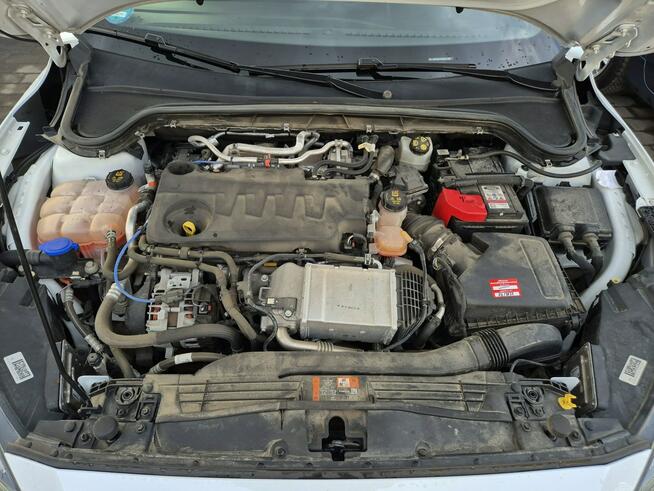 Focus ST LINE 2.0 TDCI 150km kamera FULL LED asystent NAVI serwis 2022