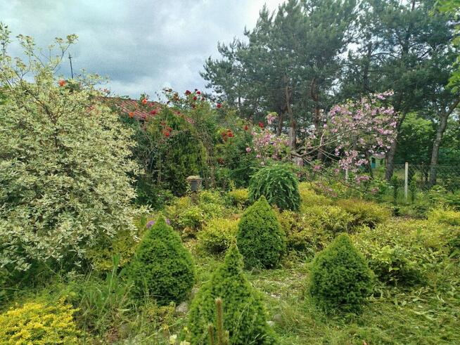 Sprzedam działkę Rodos