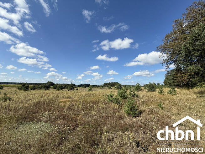 Okazja! Duża działka 3178 m² – Kaszuby, Zielona Chocina