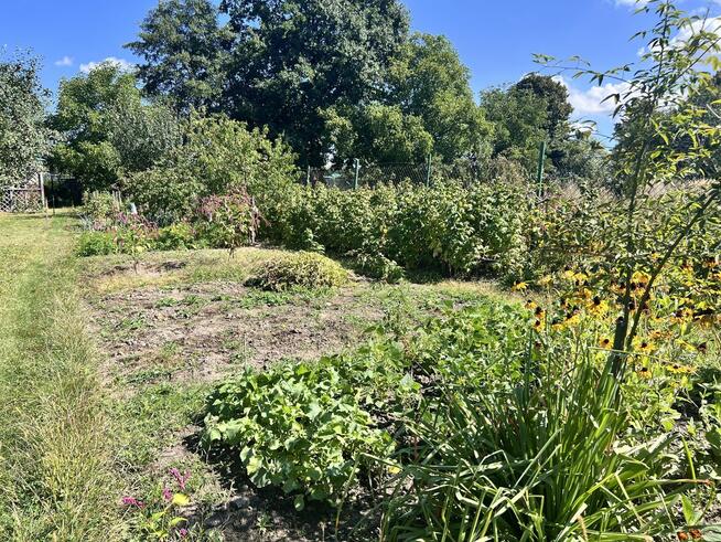 3 pokoje z ogrodem i garażem