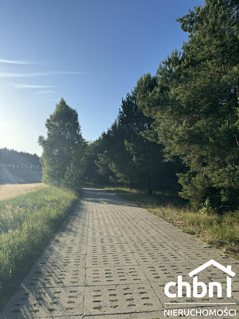 Między lasem a rzeką Brdą – Twoje miejsce w Borach Tucholski