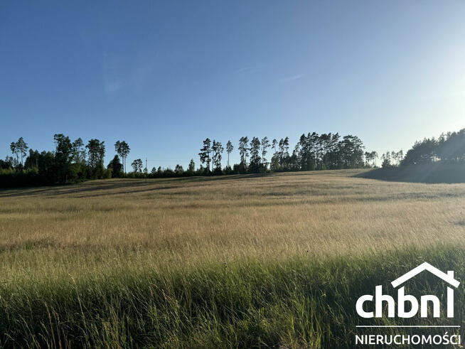 Między lasem a rzeką Brdą – Twoje miejsce w Borach Tucholski