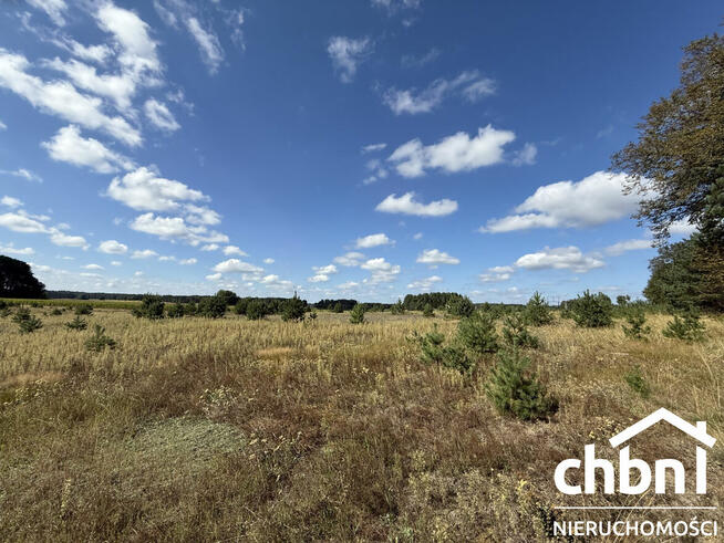 Okazja! Duża działka 3178 m² – Kaszuby, Zielona Chocina