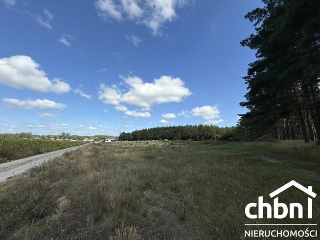 Okazja! Duża działka 3178 m² – Kaszuby, Zielona Chocina