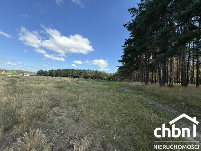 Okazja! Duża działka 3178 m² – Kaszuby, Zielona Chocina