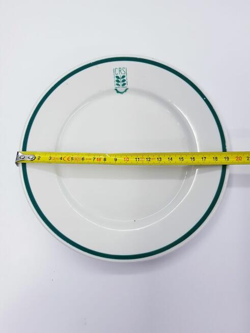 Stary porcelanowy talerz vintage Lubiana