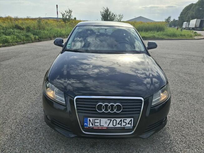 Sprzedam audi a3 8p