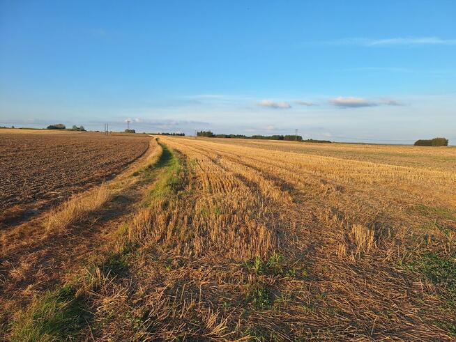 Sprzedaż działek - Wspólnota Gruntowa Wsi Piaski