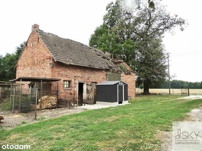 Dom we Wróblińcu- Dom na wsi z najemcą