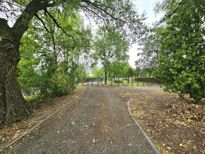 Lokal użytkowy Poznań gm. Poznań-Nowe Miasto Antoninek,