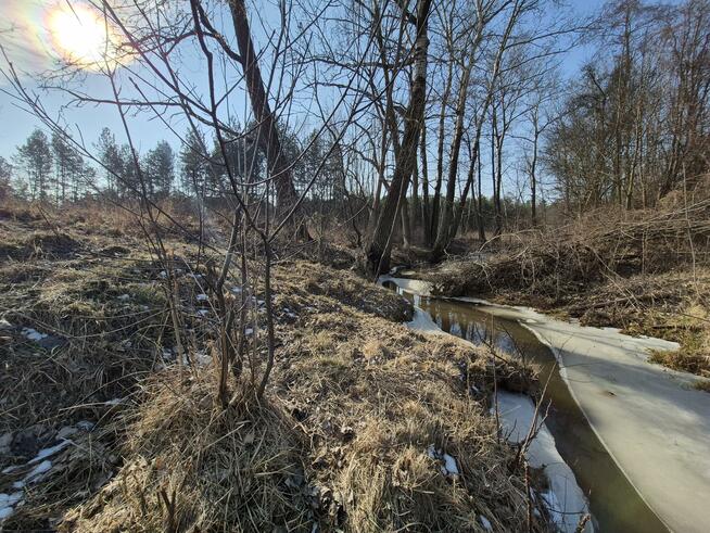 Działka budowlana Wiązowna