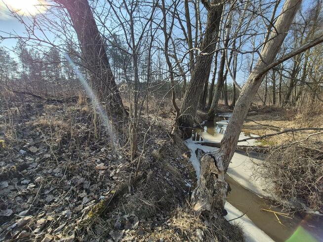 Działka budowlana Wiązowna