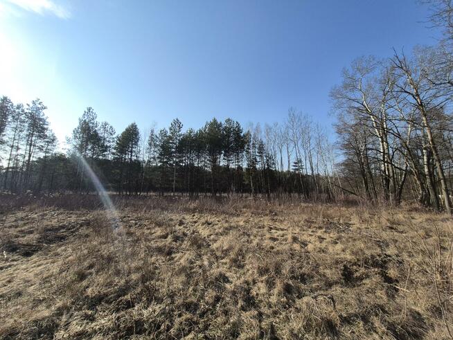 Działka budowlana Wiązowna