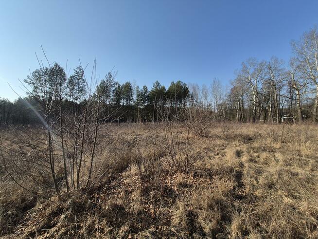 Działka budowlana Wiązowna