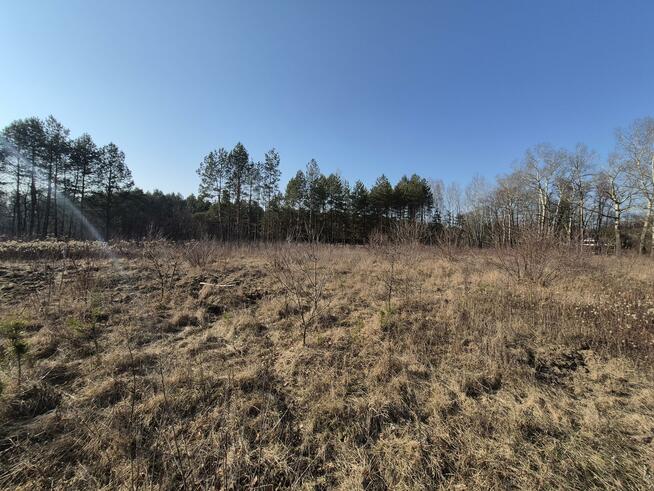 Działka budowlana Wiązowna