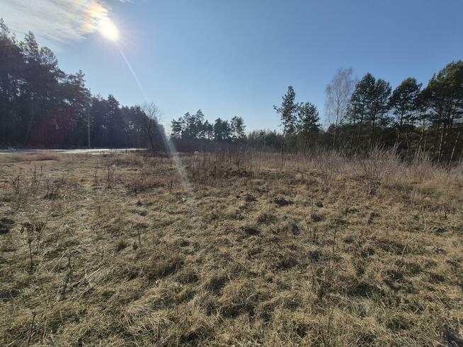 Działka budowlana Wiązowna