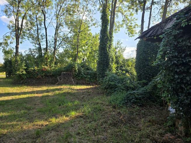 Działka budowlana Lubiczko gm. Gręboszów