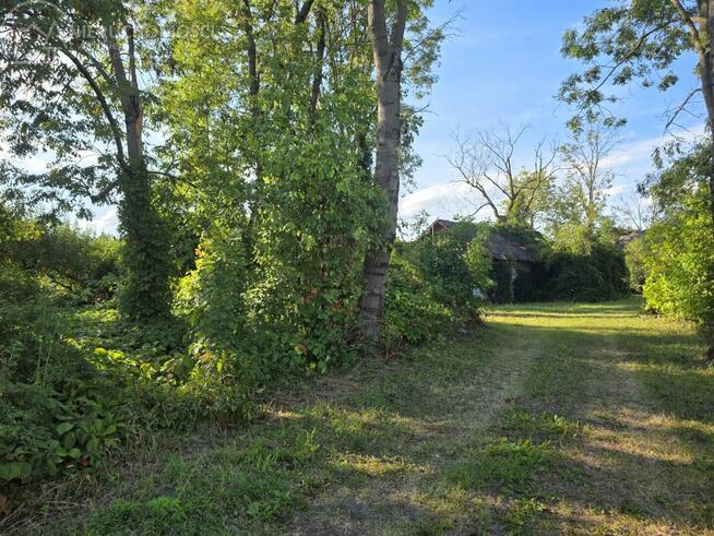 Działka budowlana Lubiczko gm. Gręboszów