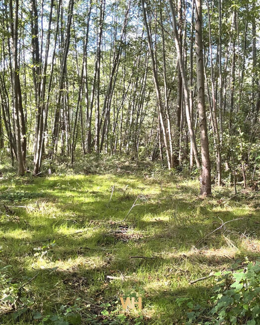 Działka budowlana Kania Nowa gm. Serock,