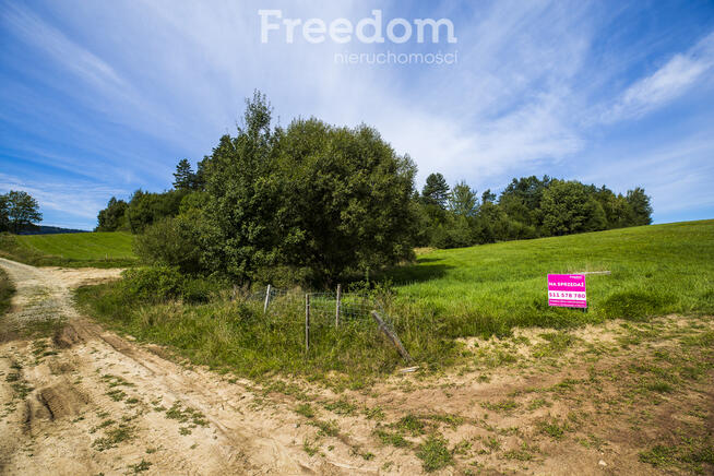 Działka Bieszczady - Bandrów