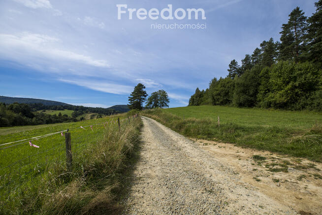 Działka Bieszczady - Bandrów